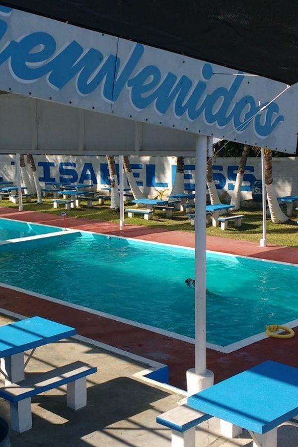 Free Bootstrap Template by ProBootstrap.com