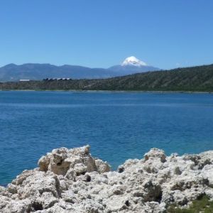 Free Bootstrap Template by ProBootstrap.com